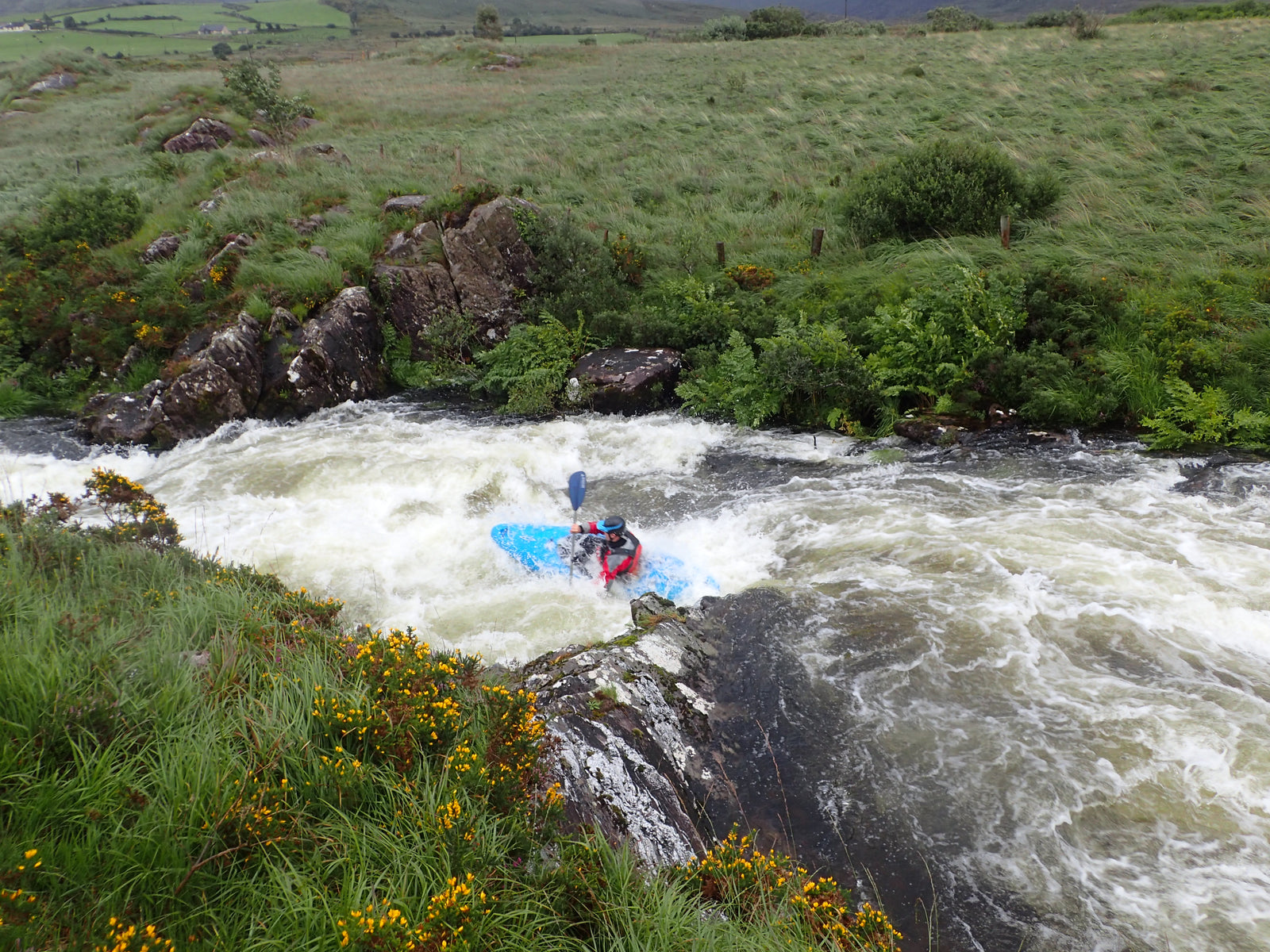 Spot Showcase: Owenroe