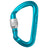 Edelrid Pure Screwgate Carabiner icemint blue & silver