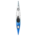 Perception Expression 15 Kayak